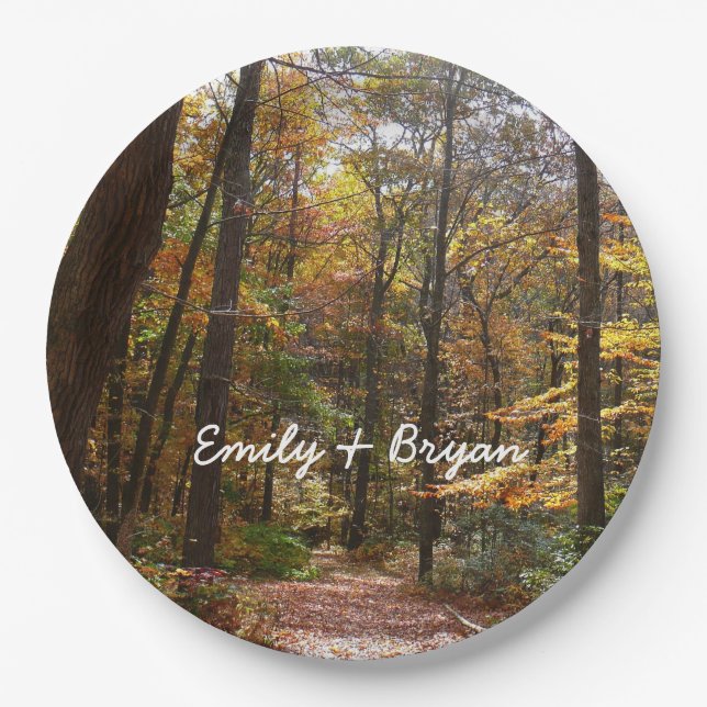 Prato De Papel Sunlit Fall Trail no Parque Estadual de Laurel Hil (Frente)