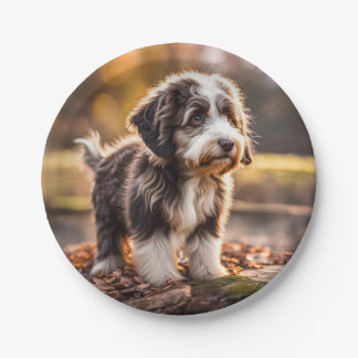 Prato De Papel Süßer Aussiedoodle Welpe