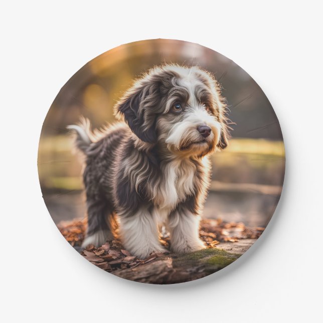 Prato De Papel Süßer Aussiedoodle Welpe (Frente)