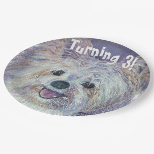 Prato De Papel Sweet White Yorkie transformando 3 FESTES