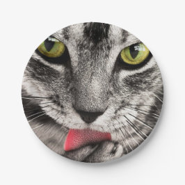 Prato De Papel Tabby Cat Licing Paw