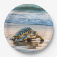 Tartaruga Caminhando Na Areia De Praia Molhada