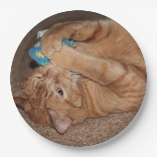 Prato De Papel Tater