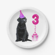 Tema "aniversário de 3 anos" - Garota Rosa-Cachoro