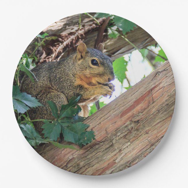 Prato De Papel Tempo do petisco (Frente)