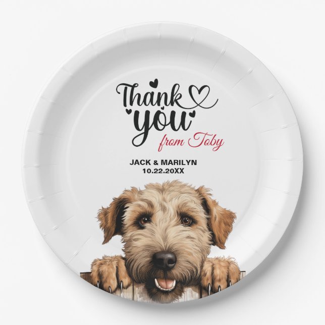 Prato De Papel Terrier de roda revestida macio (Frente)