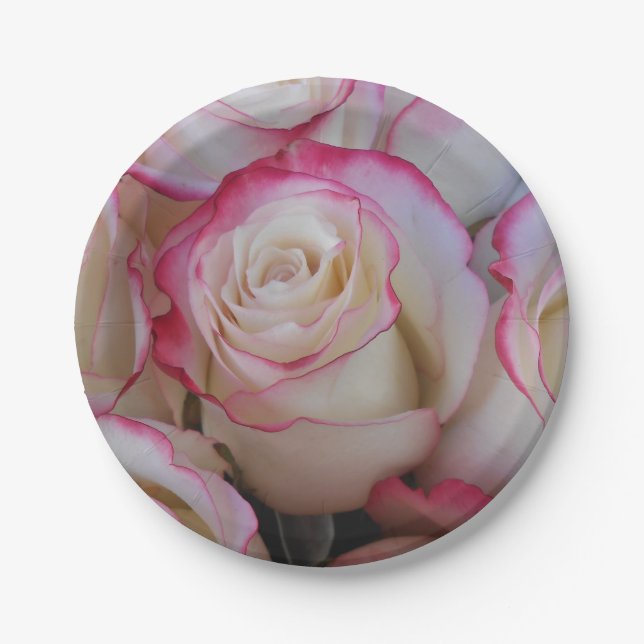 Prato De Papel Thamar (Frente)