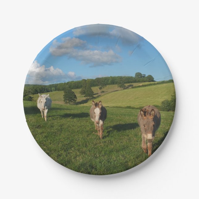 Prato De Papel Three Donkeys in a Field (Frente)