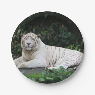 Prato De Papel Tigre Bengala Preto e Branco relaxado e sorrindo