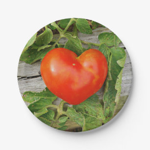 Prato De Papel Tomate em forma de coração