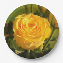 Tome tempo para cheirar a rosa amarela