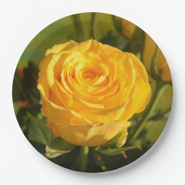 Prato De Papel Tome tempo para cheirar a rosa amarela (Frente)
