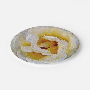 Prato De Papel tons de branco a amarelo