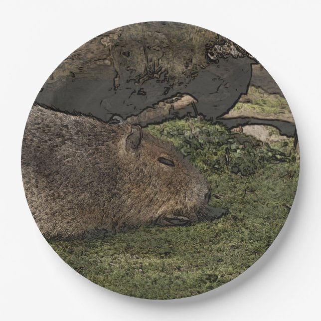 Prato De Papel toony capy 2 (Frente)