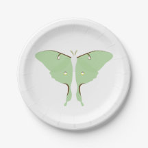 Traça de Luna - placas de papel