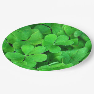 Prato De Papel Trevo irlandês