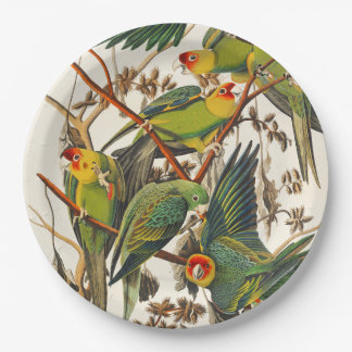 Prato De Papel Tropical bird unique paper plates