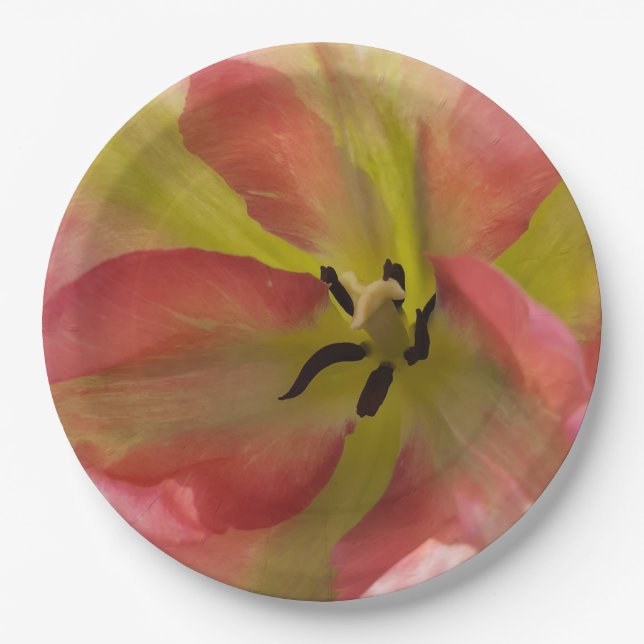 Prato De Papel Tulipa Rosa e Amarela (Frente)