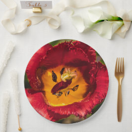 Prato De Papel tulipa vermelha