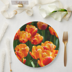 Prato De Papel Tulipas laranja-claras no parque