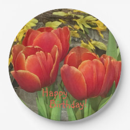 Prato De Papel Tulipas Laranja Vermelho de Aniversário