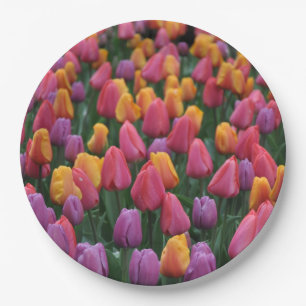 Prato De Papel Tulipas primavera coloridas