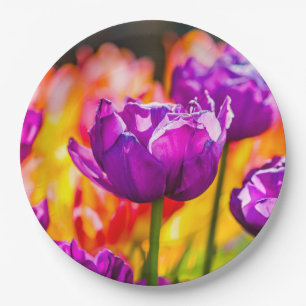 Prato De Papel Tulipas que Enchanting o roxo