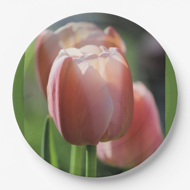 Prato De Papel Tulipas Rosa (Frente)