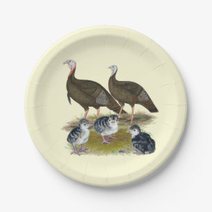 Prato De Papel Turkeys East Wild Family