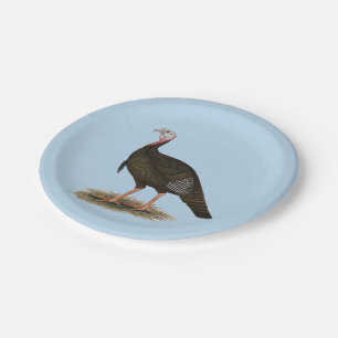 Prato De Papel Turquia:  Tom selvagem oriental