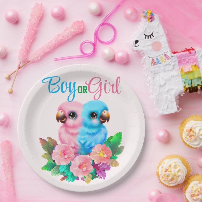 Prato De Papel Twins de Papagaio Bebês (Festa)