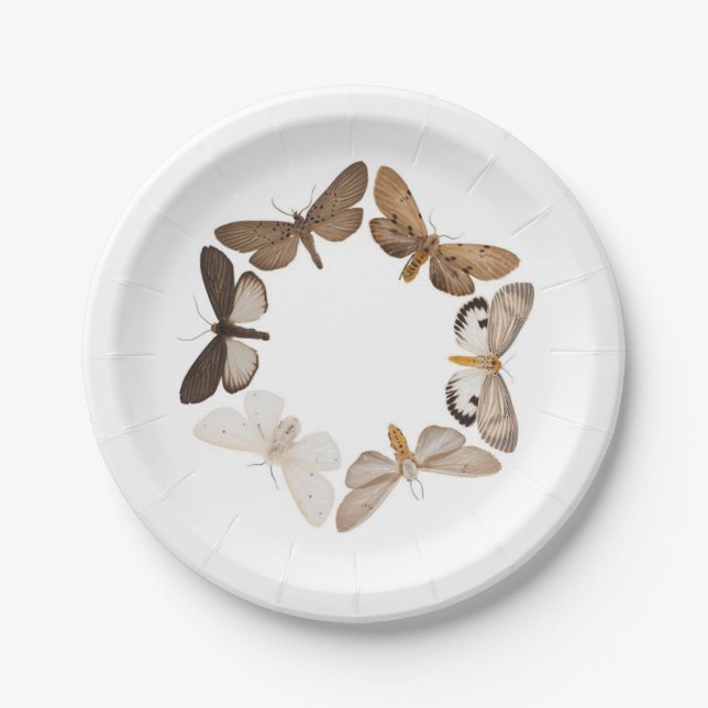 Prato De Papel Uma placa da traça (Frente)