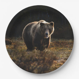 Prato De Papel Urso