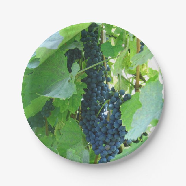 Prato De Papel Uvas Azuis (Frente)