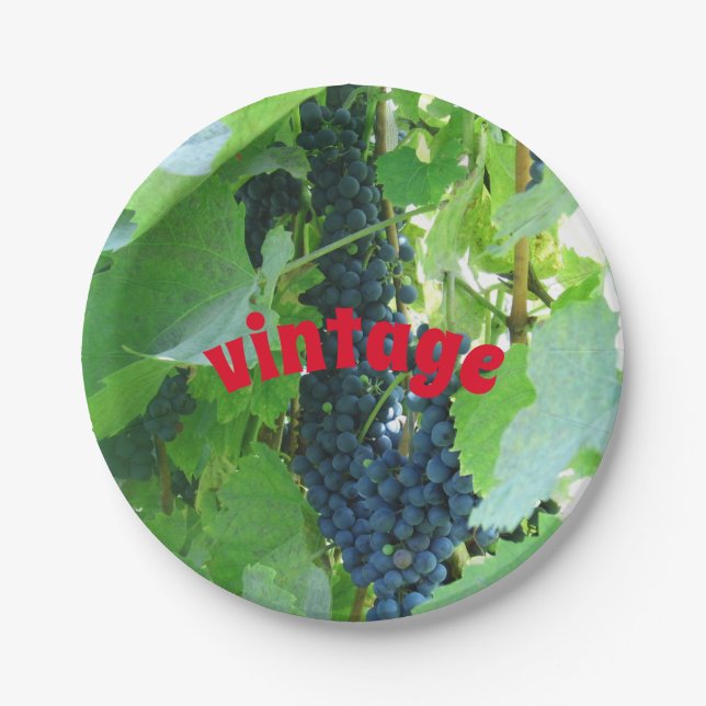 Prato De Papel Uvas azuis vintage  (Frente)