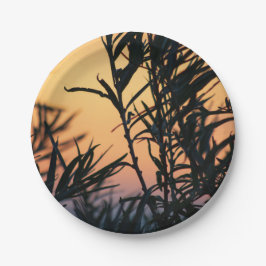 Prato De Papel Vegetação no pôr do sol