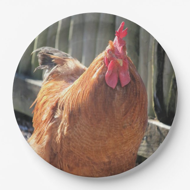 Prato De Papel Vermelho (Frente)