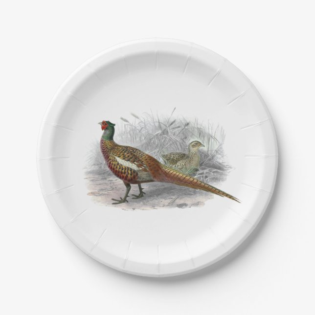 Prato De Papel Vintage Pheasant Game Bird Drawing Color 2 (Frente)