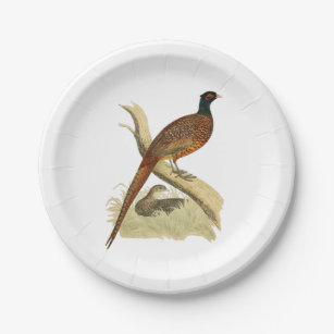 Prato De Papel Vintage Pheasant na Cor de Desenho da Pássaro do B