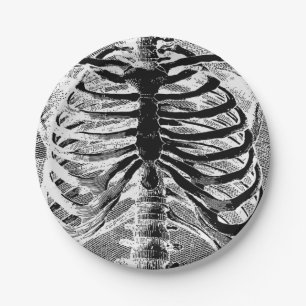 Prato De Papel Vintage Skeleton Bones Torso Body Halloween