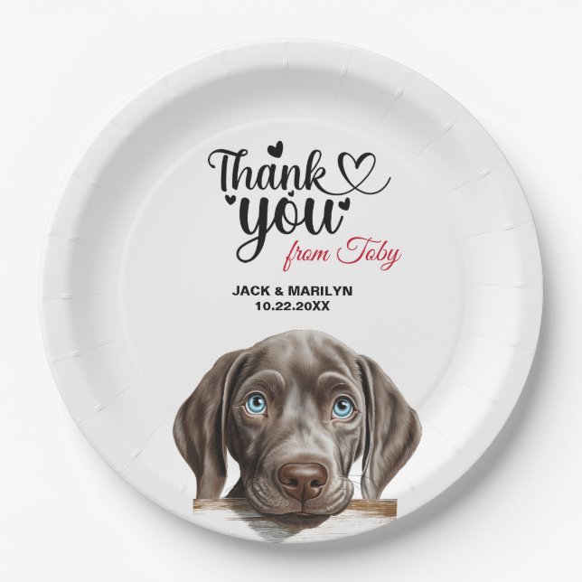 Prato De Papel Weimaraner Dog Weding - Obrigado (Frente)