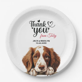 Prato De Papel Welsh Springer Spaniel