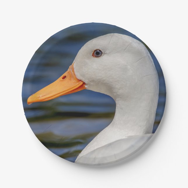 Prato De Papel White Mallard Duck (Frente)