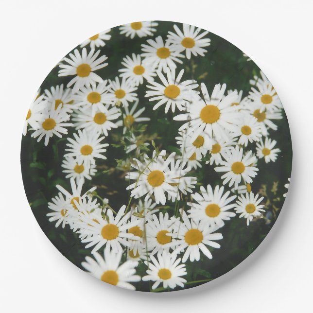 Prato De Papel White Oxeye Daisy Meadow (Frente)