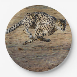 Prato De Papel Wildlife Cheetah Running Photo