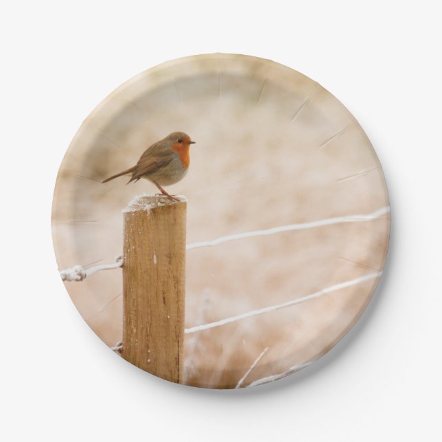 Prato De Papel Winter Robin Redbreast (Frente)