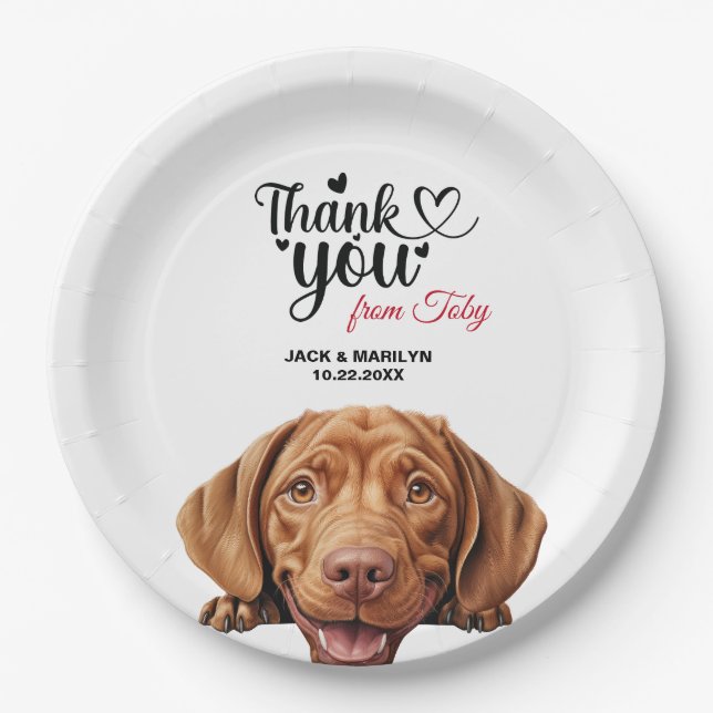 Prato De Papel Wirehaired Vizla (Frente)