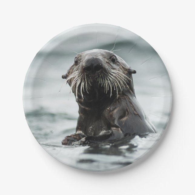 Prato De Papel Wise Otter (Frente)