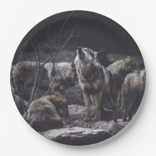Prato De Papel Wolf Pack