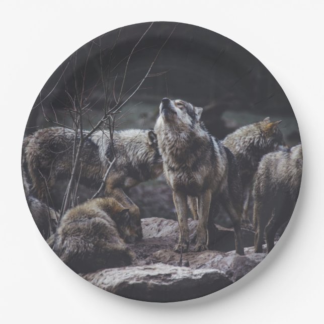 Prato De Papel Wolf Pack (Frente)